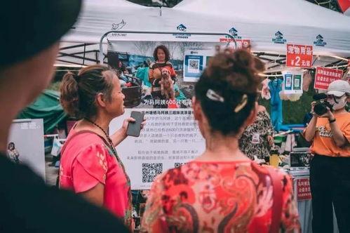 撸撸国产,探寻神秘东方古国的传奇故事